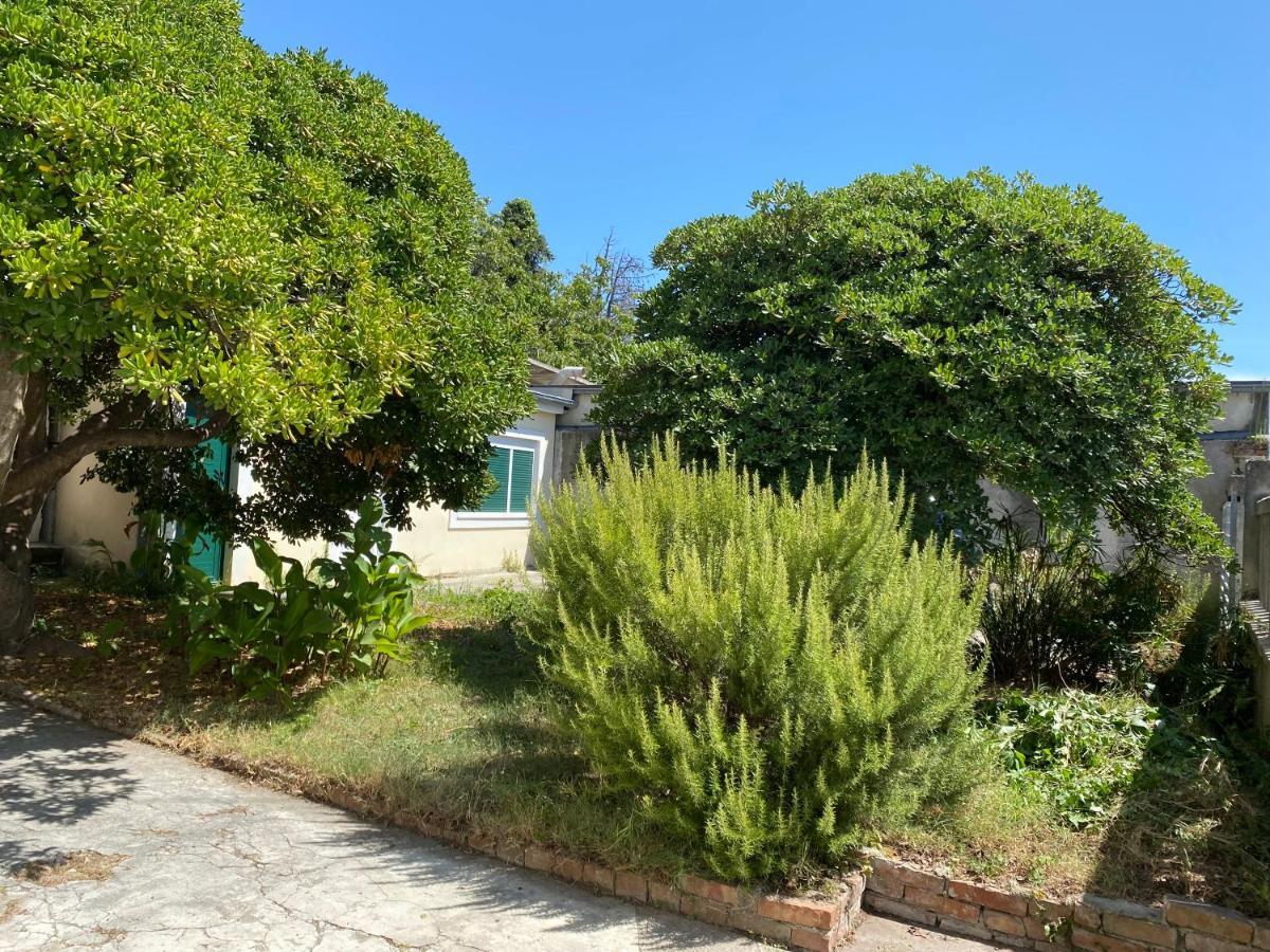 Ferienwohnung Zadar-City Eksteriør bilde